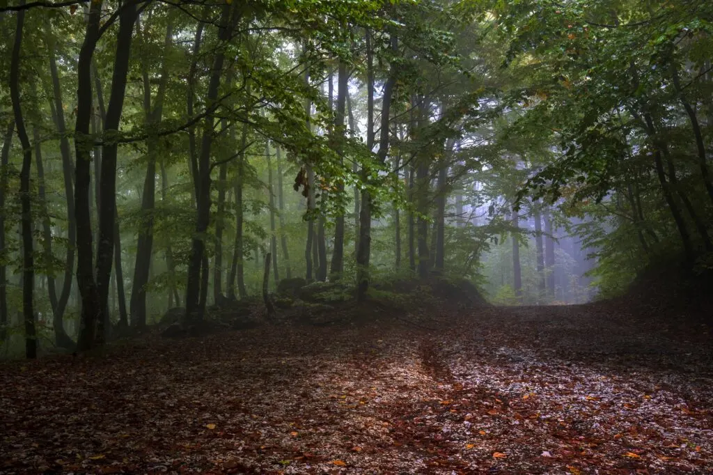 Machine à trouver prospects : Marketer Magic, l’outil de référence pour les professionnels du marketing.